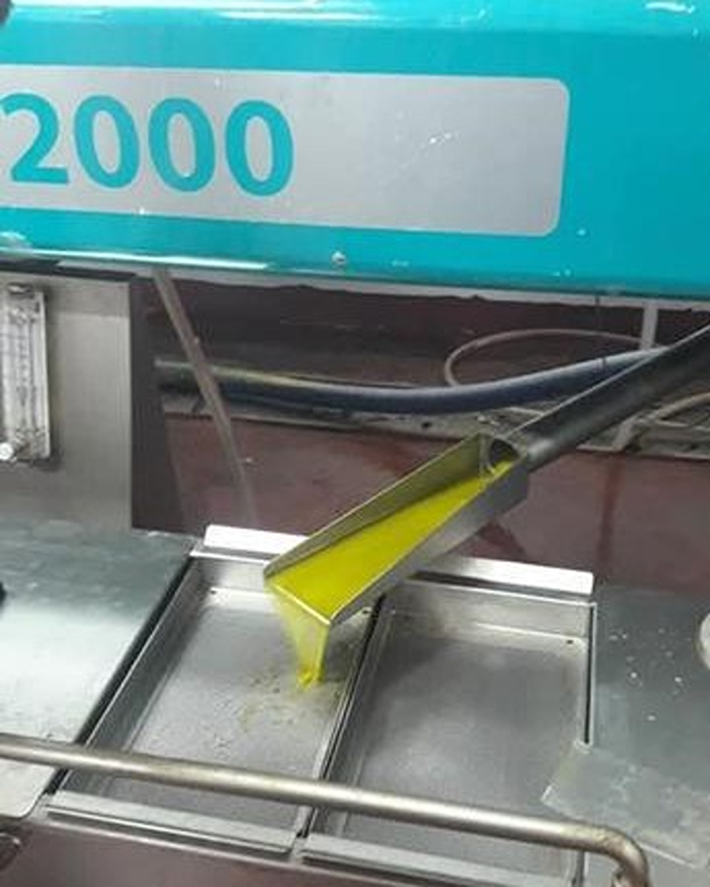Olive oil